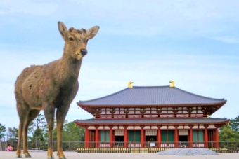 奈良駅