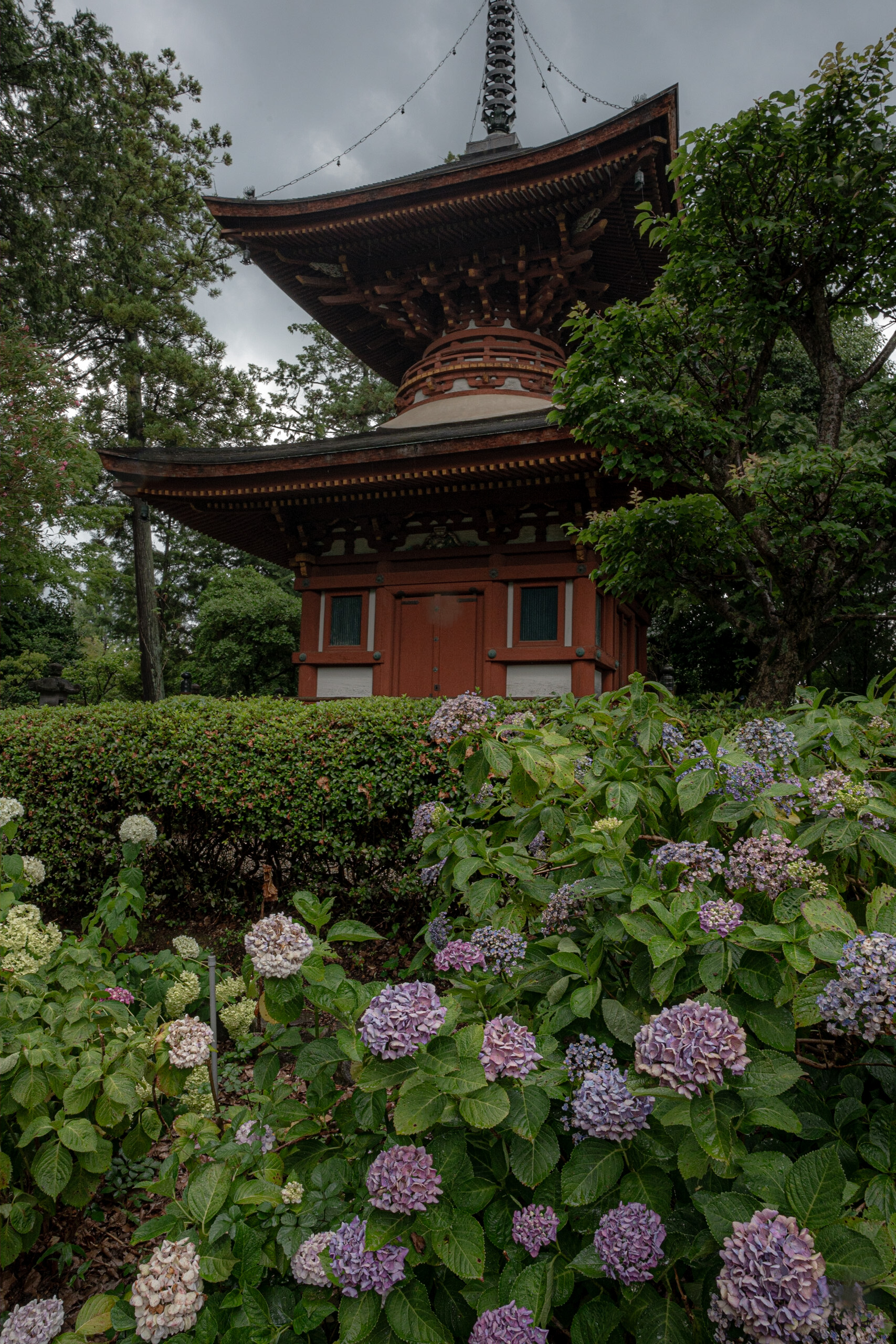 学賃【GAKUCHIN】真言宗発祥の地 久米寺